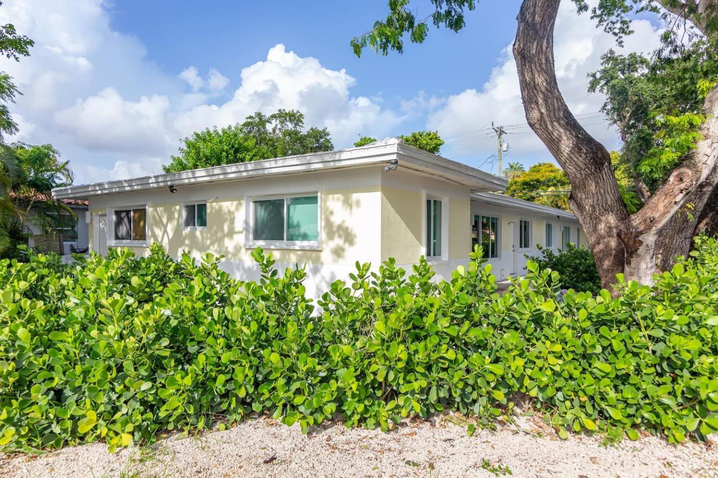 Large Stylish Studio Apartment in El Portal #3 Miami Exterior foto